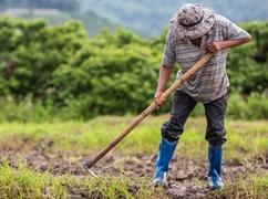 Em debate, a efetivação da proteção social dos agricultores