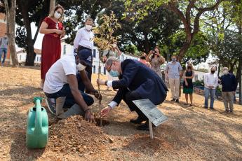 Dom Mol plantou o jequitibá-rosa em comemoração ao centenário da Arquidiocese de Belo Horizonte com o auxílio do haitiano Joseph, jardineiro da Proinfra